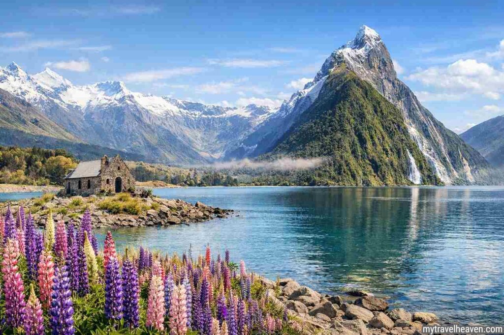 Travel Guide to New Zealand’s South Island New Zealand South Island scenic landscape with lake, mountains, and flowers.