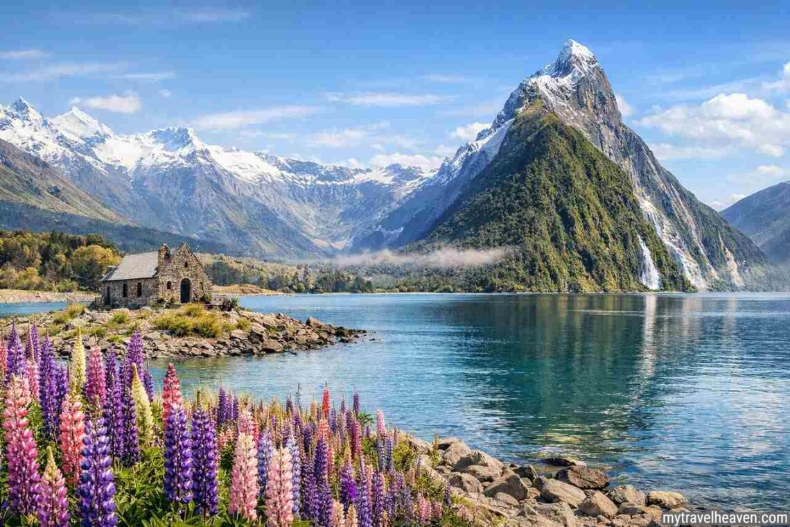 New Zealand South Island scenic landscape with lake, mountains, and flowers.