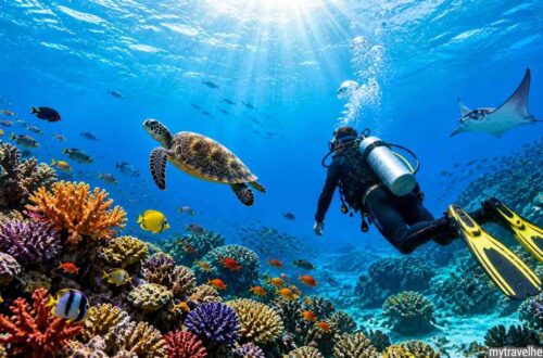 Scuba diver exploring colorful coral reef with marine life in clear ocean water.