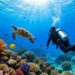 Scuba diver exploring colorful coral reef with marine life in clear ocean water.