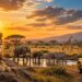 African safari with lion, elephants, and jeep at sunset.